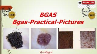 Bgas practical Exam for painting inspector