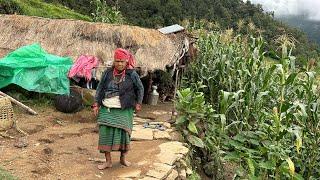 Rainy day in Nepal | Rainy day in mountain village | Village life of nepal | TheVillageNapal