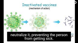 Inactivated vaccines