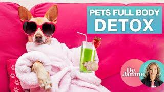 Healthy Pets | Pets Full Body Detox | Dr. J9 Live