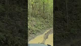 Trail riding at Leatherwood Off-Road Park in KY. #jeep #wrangler #trailguide #offroading #KY