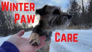 Should You Use Paw Wax or Booties? | How to Care for Dog Paws While Winter Hiking