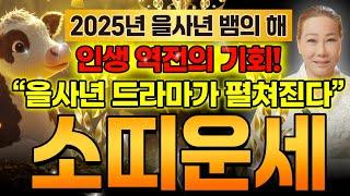 2025년 을사년 뱀의 해 소띠운세 25년에 드디어 인생 역전의 기회가 찾아와 소띠에게 드라마가 펼쳐진다! 49년생 61년생 73년생 85년생 97년생 소띠 운세