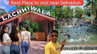 Lachhiwala Nature Park Dehradun | लच्छीवाला नेचर पार्क |Best Picnic Spot near Dehradun - Rishikesh |