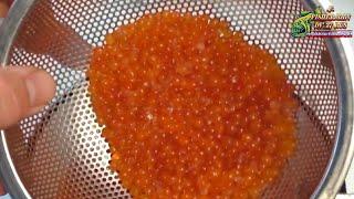 How to salt pink salmon caviar from frozen fish from the store, see all the secrets from Fisherman