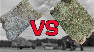 Alfalfa VS Grass for GRASS FED BEEF (Grass Fed/Finished Beef)