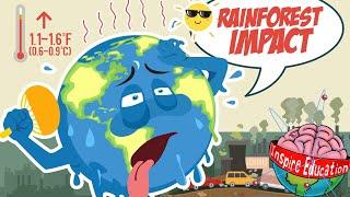 What are the effects climate change has on the rainforests?