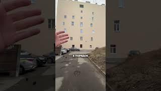Замечали дома с такими окнами в СПб?