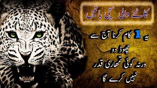 Urdu Quotes | Urdu Aqwal | Aqwale Zareen | Noor Golden Words