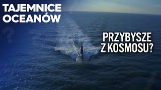 To wykracza poza nasze pojmowanie!  | Tajemnice oceanów