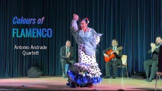 Colors of FLAMENCO – Antonio Andrade Quartett – Kulturhalle Grebenstein November 2024