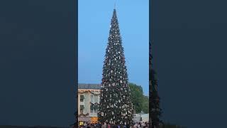 Tree Lighting @ Disneyland