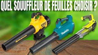 TOP 6 : Meilleur souffleur de feuille 2025