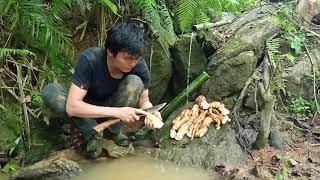 Dig Wild Tubers For Food, Survival Instinct, Wilderness Alone (ep62)