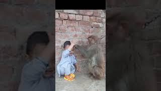 monkey and baby enjoyment #shortsvideo #viral #cutebaby #funnyvideo