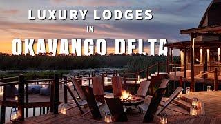 Luxury Safari Lodges in Okavango Delta | Authentic Botswana Safari | Unexplored Africa