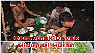 Di Hutan Mencari Makanan Fresh,Teknik Hidup Di Hutan Anak Dayak,Survival Skills.