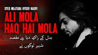 Matam-e-Shah-e-Karbala Hum Ali Waly Aae Hain Logo - ALI MOLA HAQ HAI MOLA: Noha 2023-24