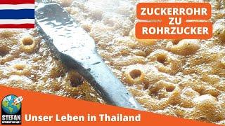 Zucker #thailand #zuckerrohr #thailand2023  #rohrzucker #herstellung  #zucker  #süße #natürlich