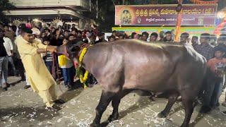 Kothapet Thota’s Family Sadar Sayyata 2022 || Festival in Hyderabad || Teenmaar dance