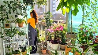 Heartwarming gardening video/October veranda garden