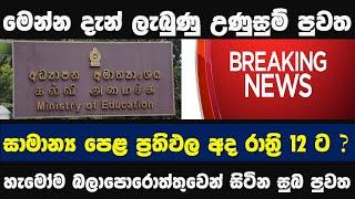 Breaking News | G.C.E O/L 2023 Exam Result Released ? | STORY ONE