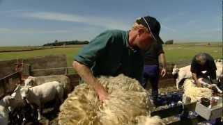 AltijdGoedSlapen - Dekbedden van schapenwol