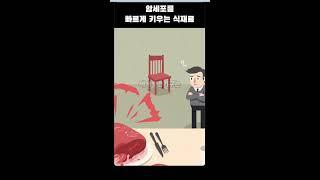 인삼군님의 건강정보