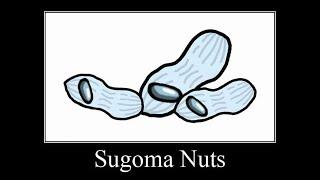 Sugoma Nuts  | amogus meme