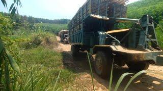 Homemade wooden trucks in Vietnam are very cool and strong - wood truck