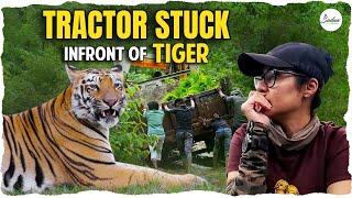 Tractor Stuck In Front Of Tiger || Wildlife #4KVlog || Sadaa Wild Stories