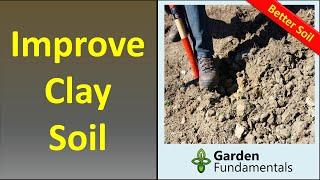 Improve Heavy Clay Soil