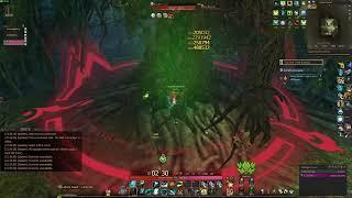 Echo of Soul Dryad Normal Solo EarthGuard