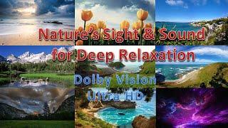 Nature's Sight & Sound for Deep Relaxation