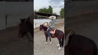 SADDLE CAUGHT ON FIRE!!!! #charrería #tiktok #caballos #charros #piales #trending