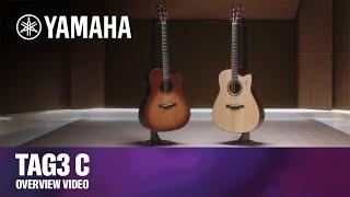 TAG3 C | Yamaha TransAcoustic Guitars