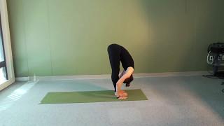 Samantranka Suryanamaskara Example 1