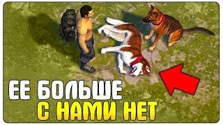 МОЮ СОБАКУ ХАСКИ УБИЛИ! КТО ЭТО МОГ СДЕЛАТЬ? - Last Day on Earth: Survival