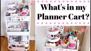WHAT'S INSIDE MY PLANNER CART? $30 Craft Organization!