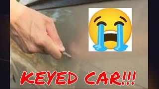 I Repaired A Car Keyed By Vandal! Watch How I Restored It!! - Apex Detail