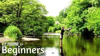 FLY FISHING FOR BEGINNERS