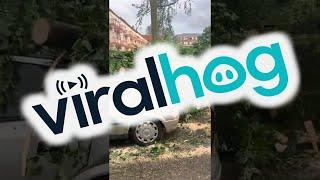 Aftermath of Paderborn Tornado || ViralHog