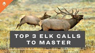 Top 3 Elk Calls To Master