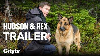 WATCH Hudson & Rex Sundays on Citytv | Best TV Shows 2022