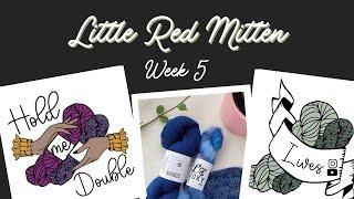 LIVE! Little Red Mitten - Hold Me Double 2022 KAL Week 5