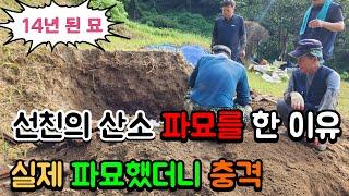 선친의 산소 파묘를 한 이유 실제 파묘했더니 모두가 충격