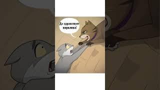 Мем про кошек