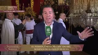 Andalucía es Semana  Santa |Domingo de Ramos | Semana Santa 2022