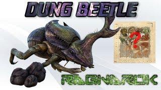 Ragnarok | Where to find Dung Beetles