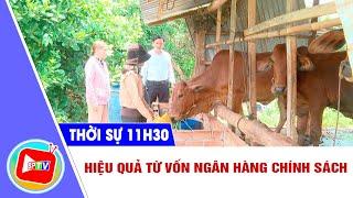 [Trực tiếp] - Thời sự Bình Phước trưa 17-9-2024